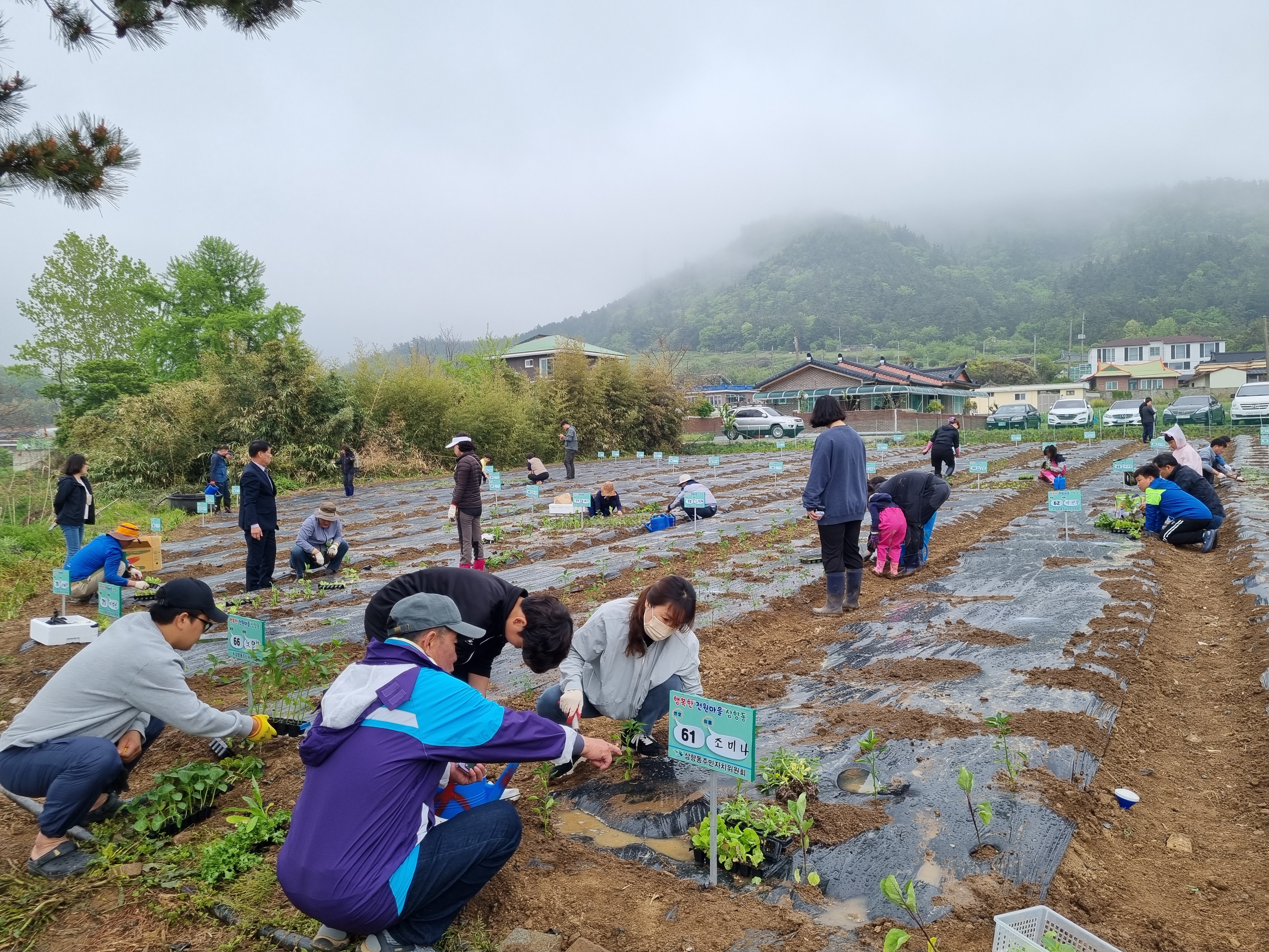 삼향동, 2025 전원마을 삼향동 주말농장 참가자 모집