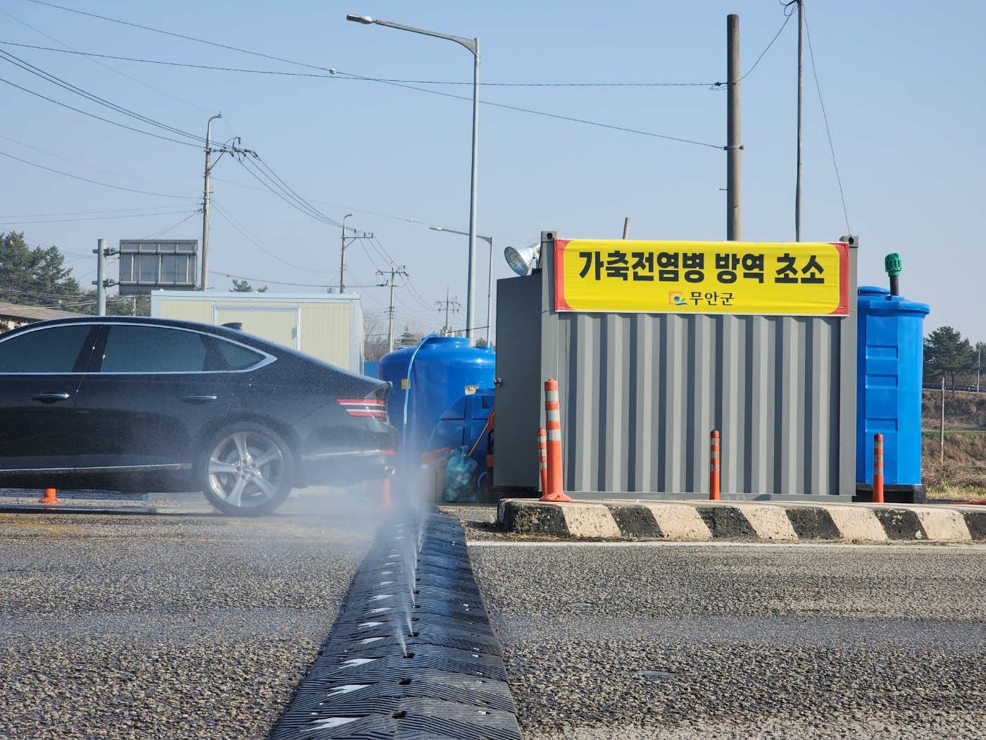 무안군, 구제역 확산 이달 말 고비…방역 총력전 나서