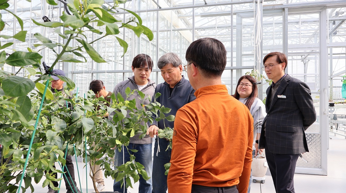 합천군, 상큼한 만감류 재배기술 교육 실시
