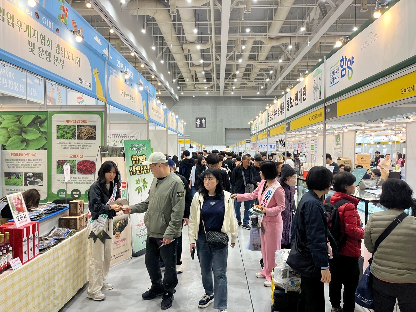 함양군 산양삼, ‘2025년 상반기 경남청정임산물 소비촉진행사’ 인기