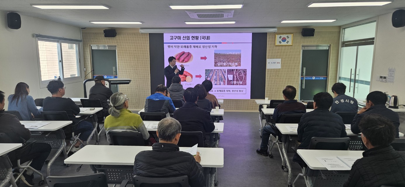 영양만점 줄기채소 고구마 통채루 재배기술 교육 추진