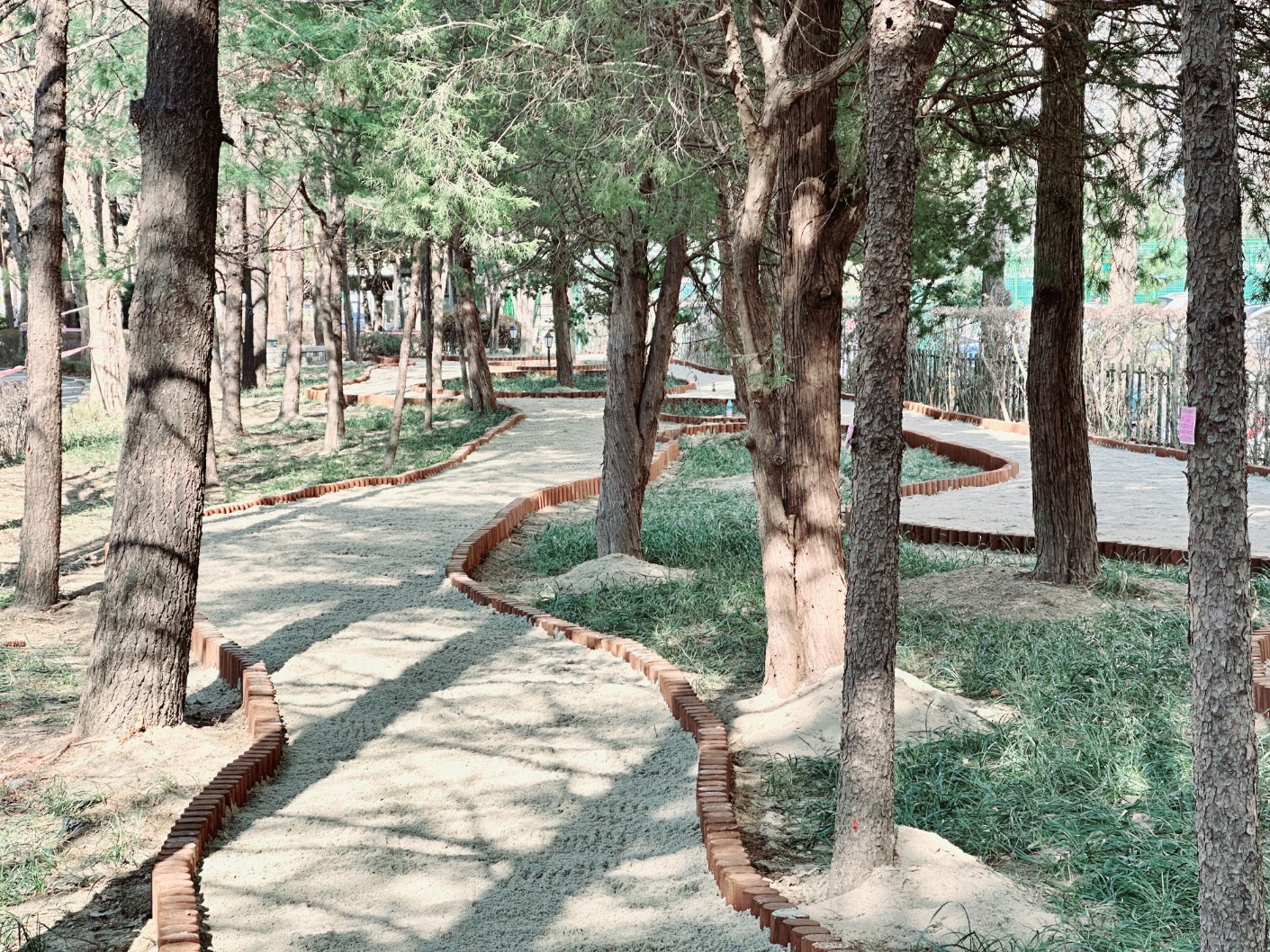 과천시, 중앙공원 ‘흙향기 산책길’ 정비 완료…3월 22일 새롭게 개방