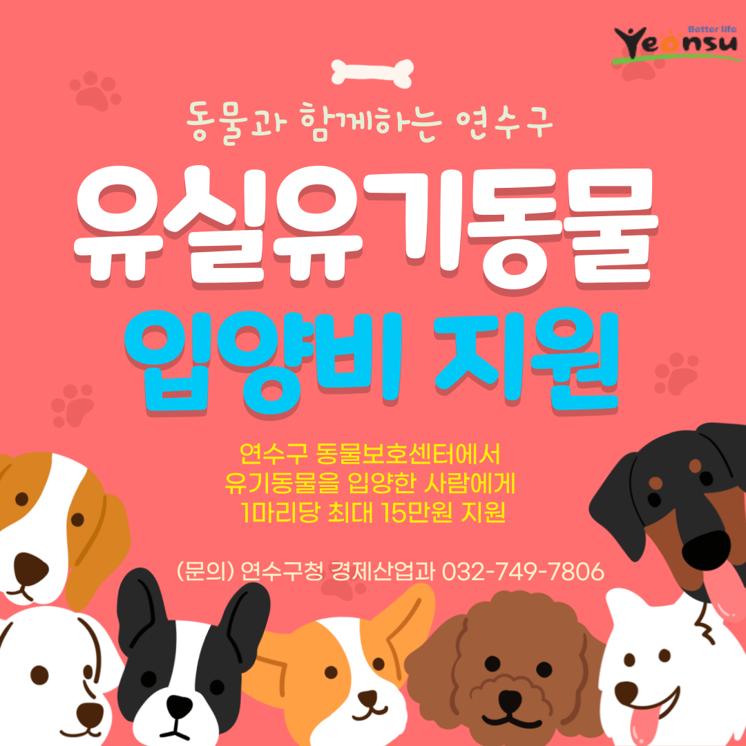 연수구, 유기동물 입양비 최대 15만 원 지원