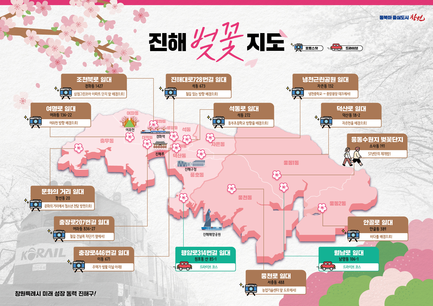 올해는 현지인 추천 진해 벚꽃명소에 가볼까? 해군특화길, 진해문화정원 등 진해군항제 신규 관광콘텐츠 제안