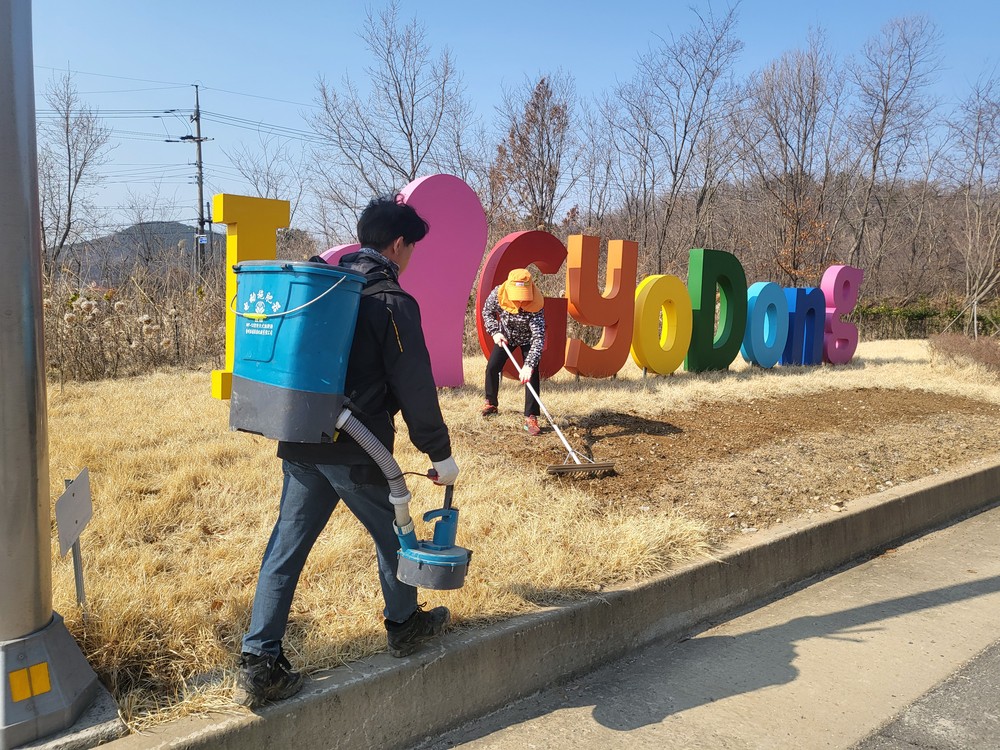 교동면 주민자치 위원회,“화사한 꽃길로 싱그러운 교동면 만들어요!”
