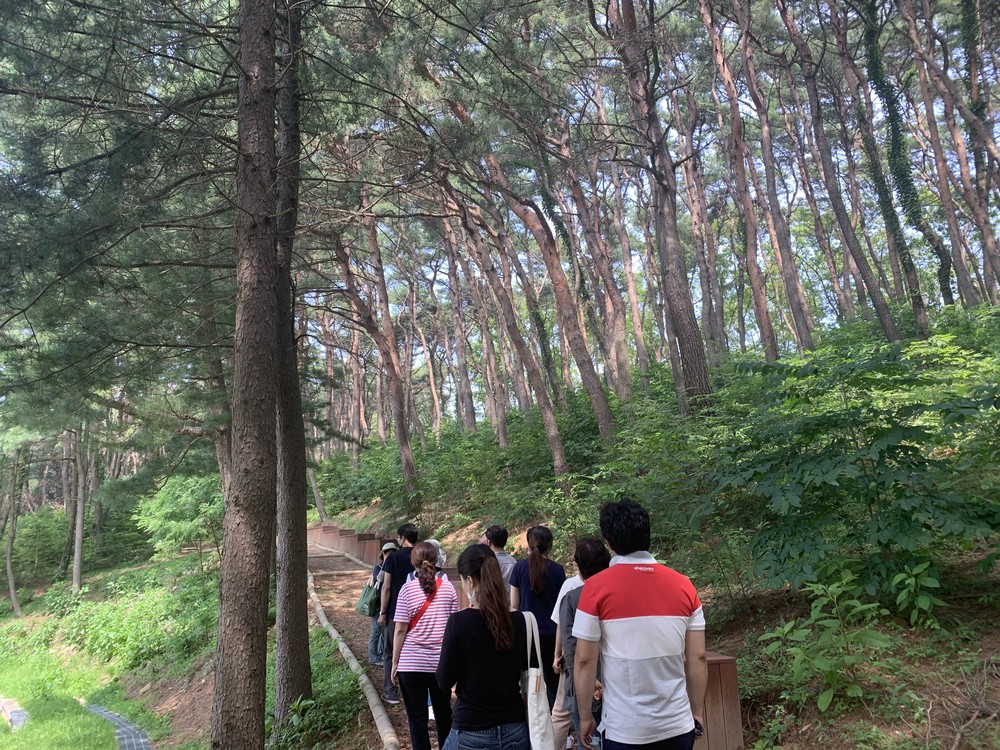 강화군, 걷고 쉬고 치유하다… 마니산 치유의 숲 웰니스 프로그램 운영