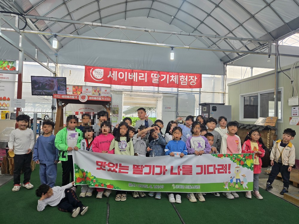 군위군 드림스타트 아동 딸기따기 프로그램 운영