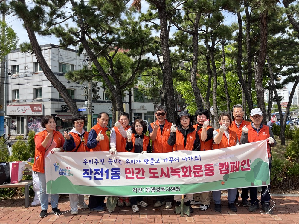 작전1동, 주민 손으로 심은 피라칸타스 250여 그루, 생활 속 녹색공간 확대