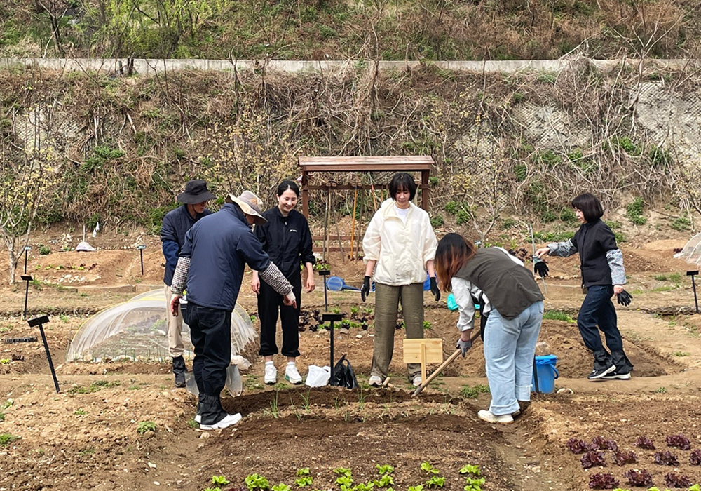 관악구, 농작물 기르며 지친 심신 챙긴다 치유농업 ‘청년 힐링팜’ 운영