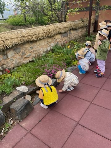 공주시, “꼬마농부 모여라!” 상반기 꼬마텃밭 체험 운영