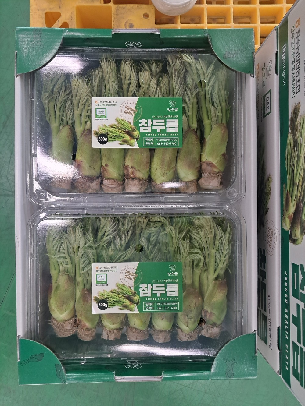장수군, 두릅 공동선별 출하 본격 시작