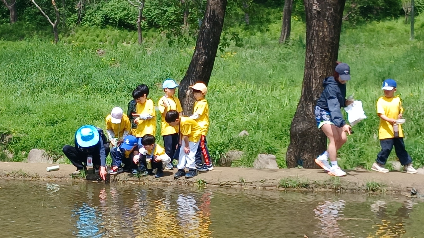 강남구, 양재천·대모산 생태·산림교육 프로그램 운영