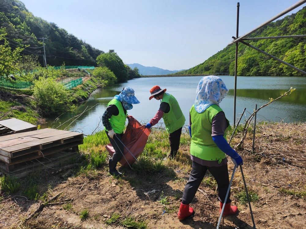 상주시 외남면 환경감시단, 관내 환경정화 및 환경 캠페인 실시