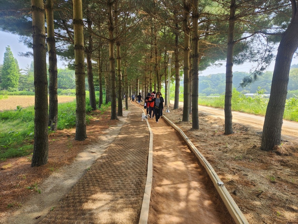 예산군, 덕산온천 족욕장 재설치·황톳길 추가 조성