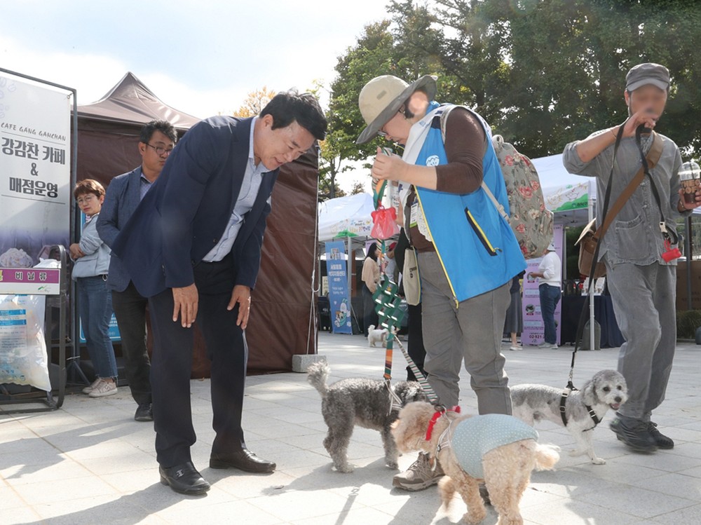 관악구, 우리집 ‘댕냥이’와 함께 행복한 일상 만든다
