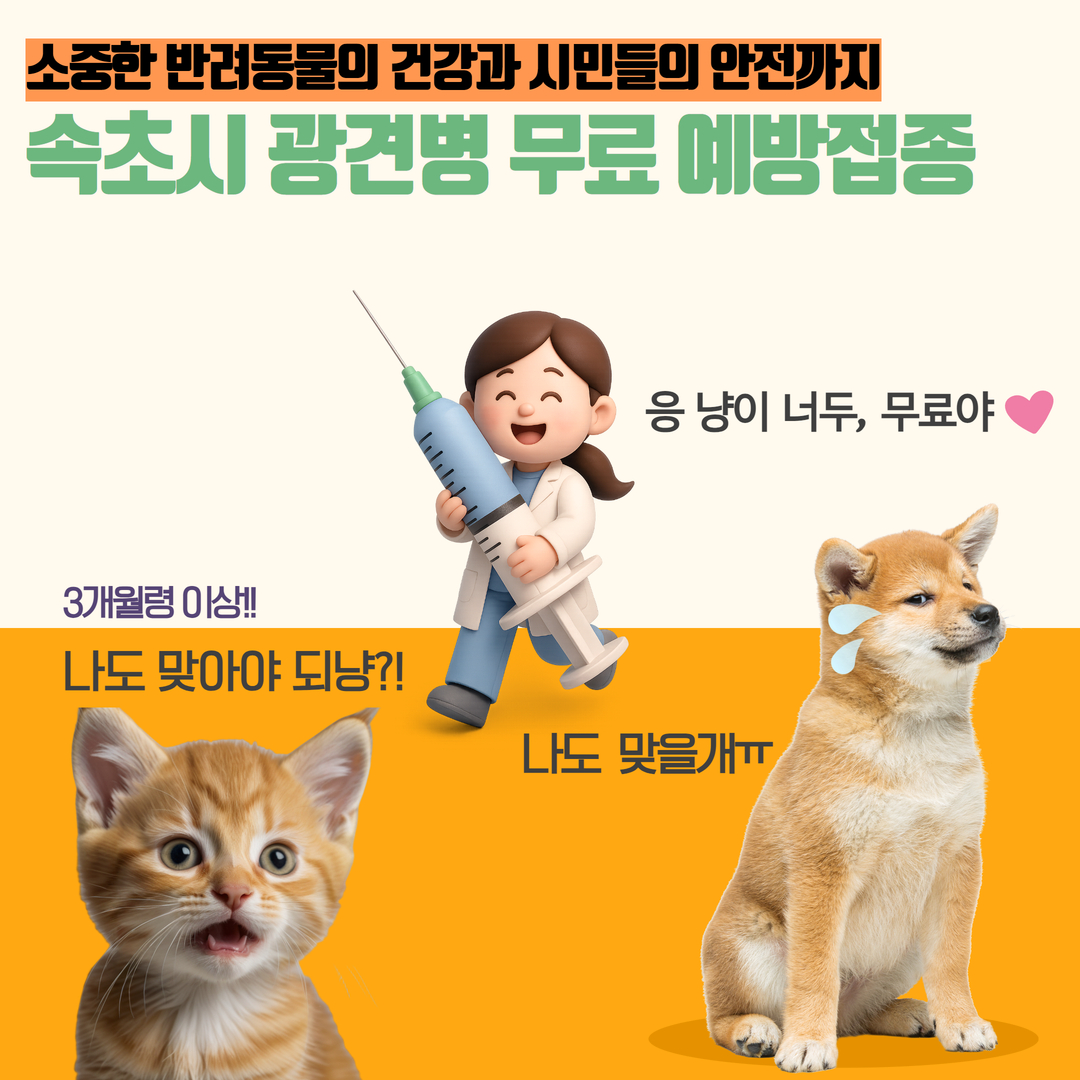 속초시, 반려동물(개, 고양이) 광견병 백신 무료 접종 시작
