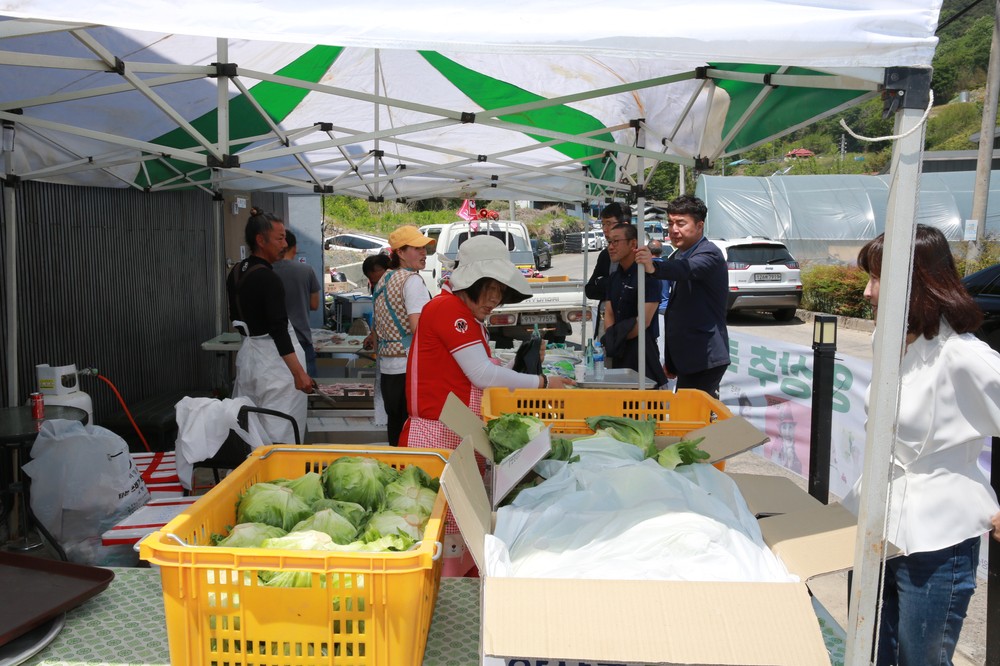 의령군 부림면 옥동마을, 특산물 양상추 축제 개최