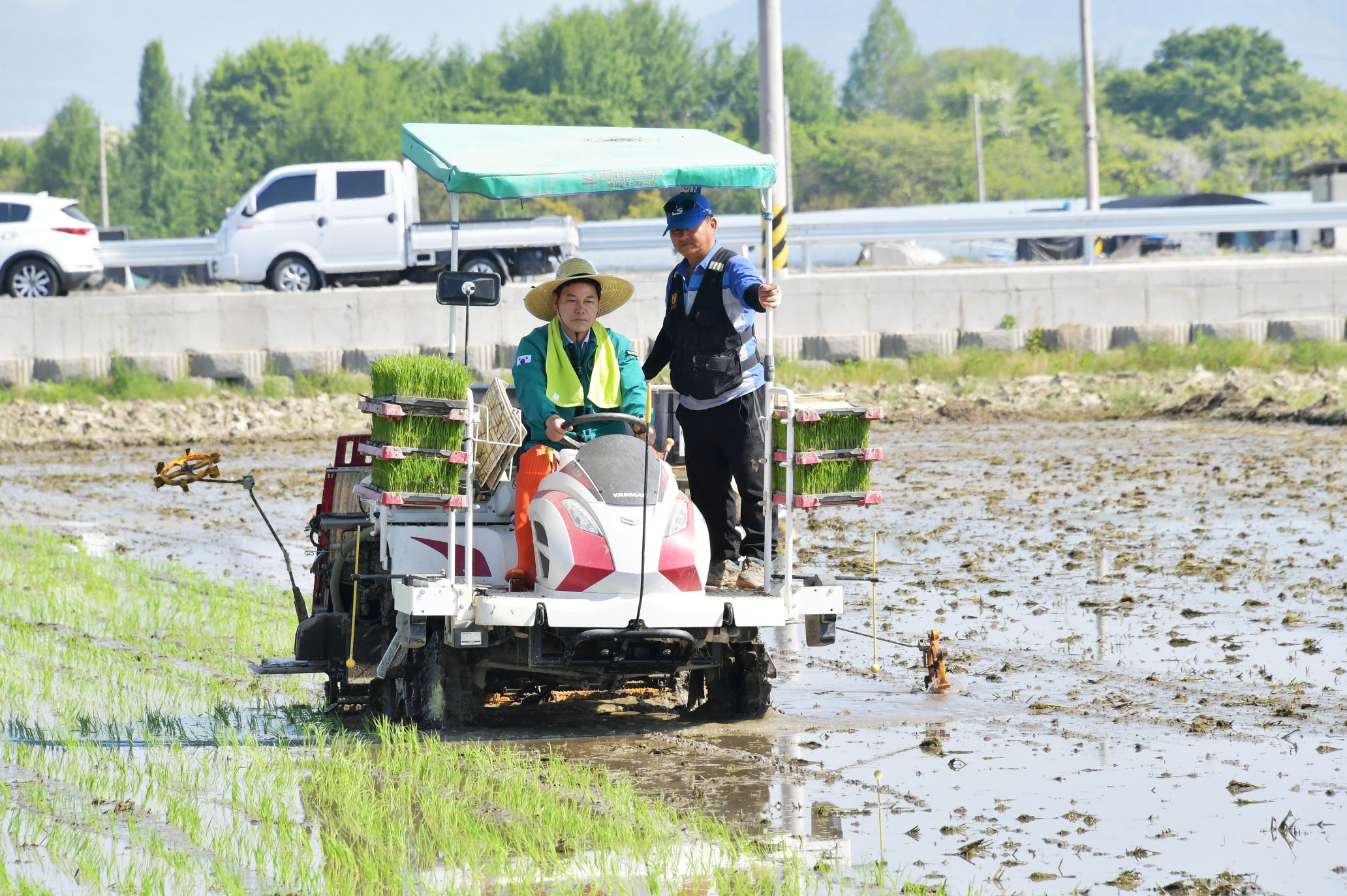 담양군, ‘대숲맑은 조기햅쌀’ 올해 첫 모내기