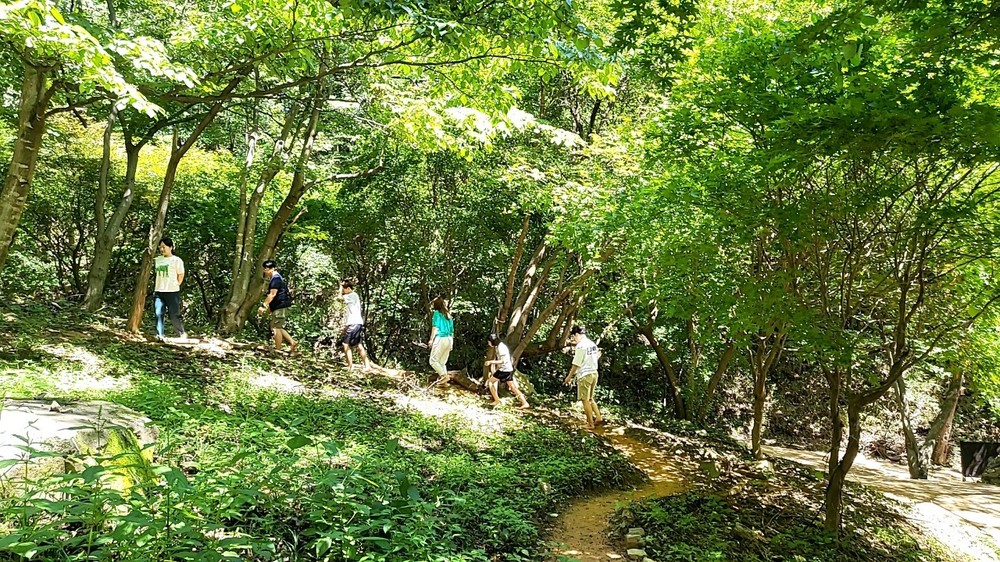 장수군, ‘장수 치유의 숲’ 웰니스관광지 선정
전북형 웰니스관광지 선정으로 힐링‧치유 중심 관광자원 활성화