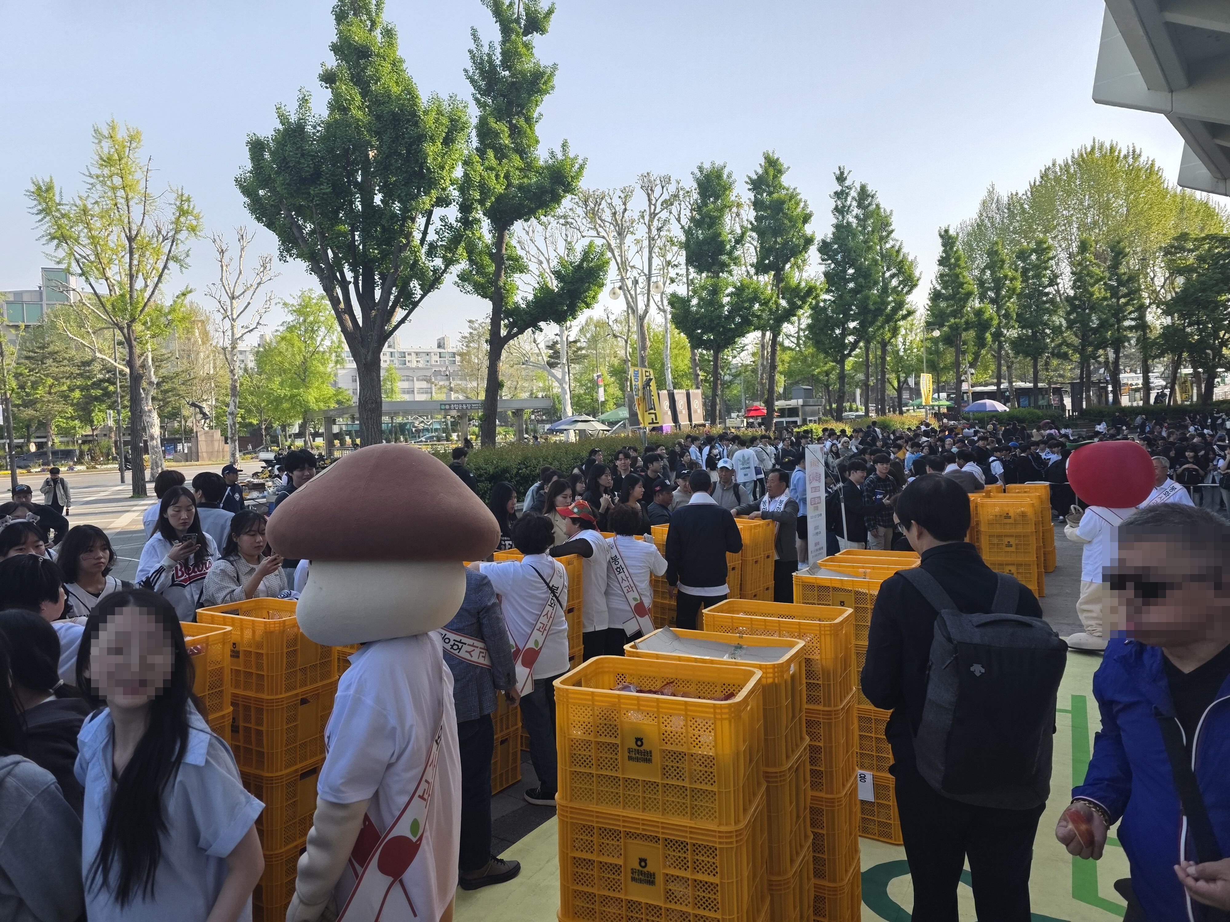 봉화군, 잠실야구장 두산베어스 경기서 ‘햇살듬뿍’봉화사과 알리다