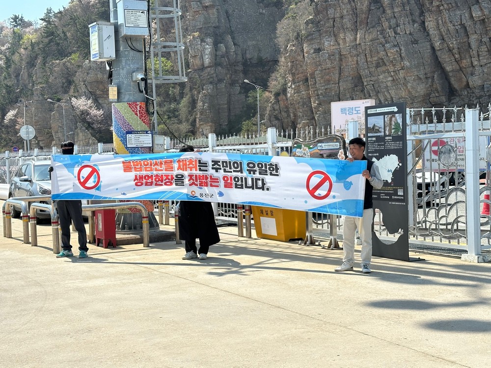 백령면 임산물 불법 채취 근절 캠페인 실시