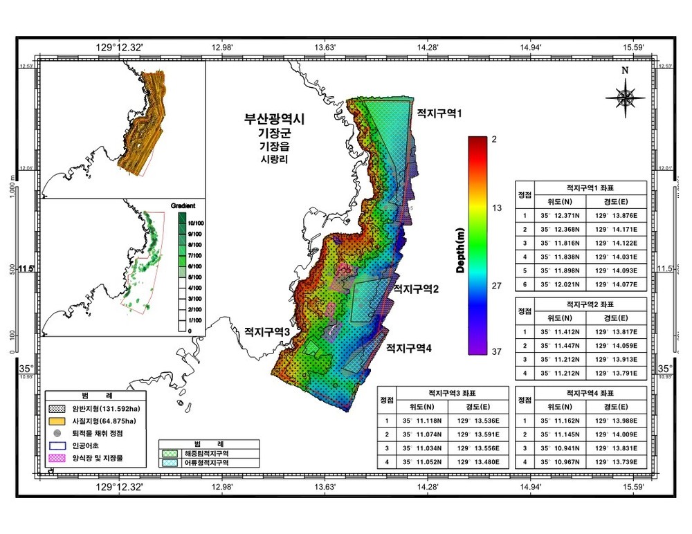 기장군 시랑리 해역, 해수부 ‘2025년 바다숲 조성’ 신규 사업지 선정…4년간 12억 투입