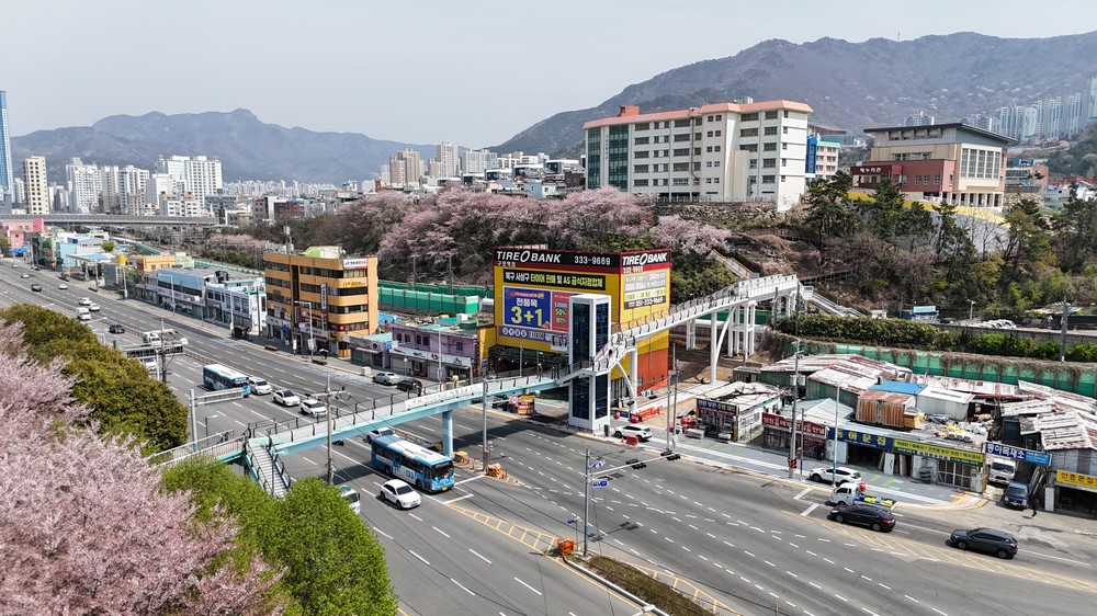 부산 북구, 리버워크에 이어 야시고개와 낙동강 갈맷길을 잇는 보행전용교량 개통