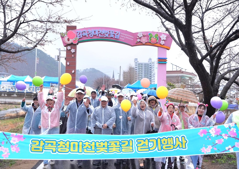 감곡면 청미천 벚꽃 축제 개최