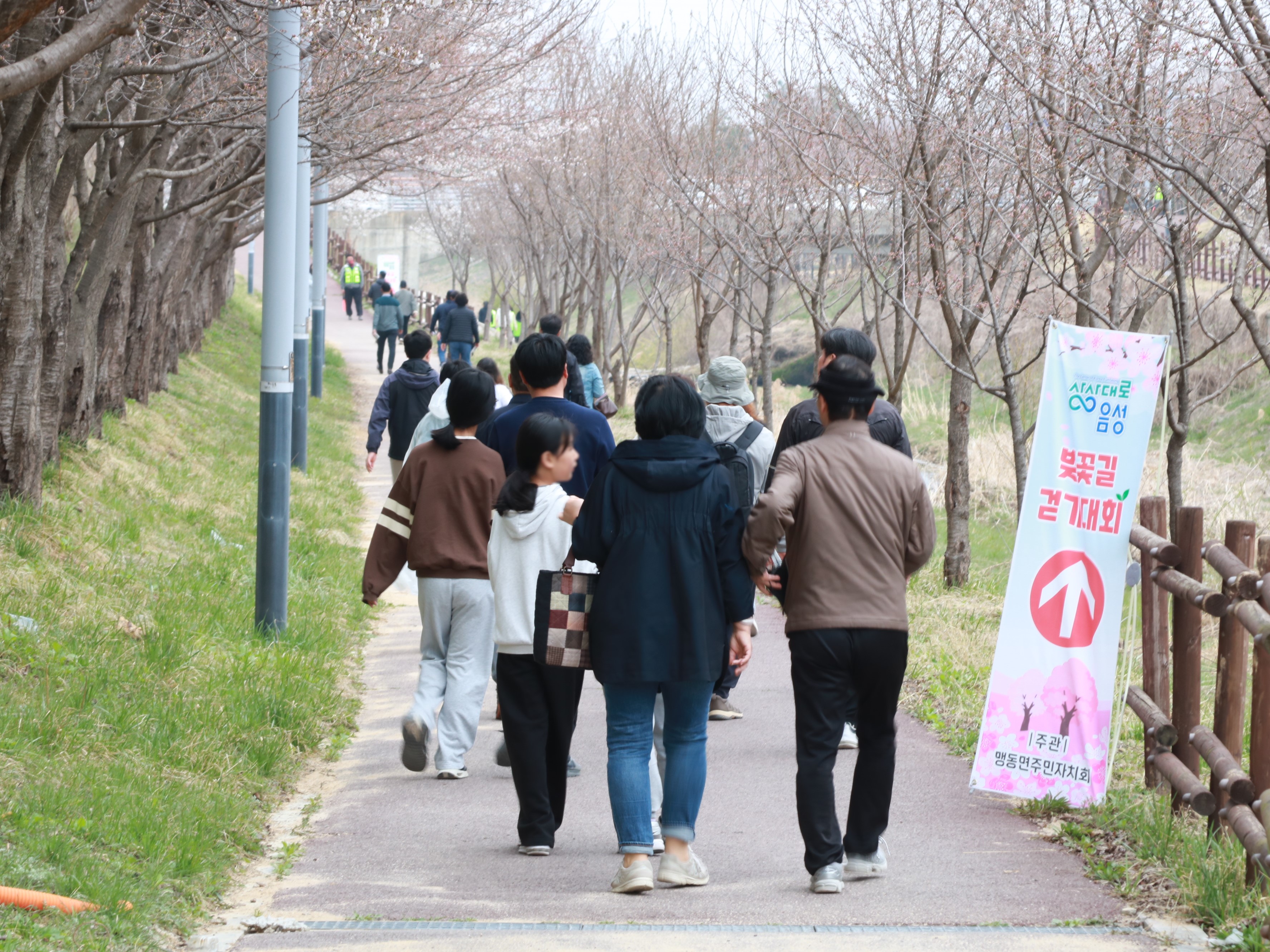 맹동면 주민자치회, ‘맹동혁신도시 수변공원 벚꽃길 걷기대회’ 열어