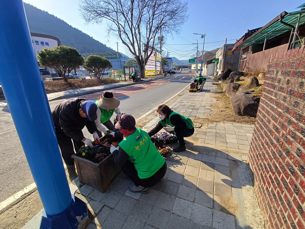 괴산군 문광면, ‘아름다운 봄꽃길’ 조성