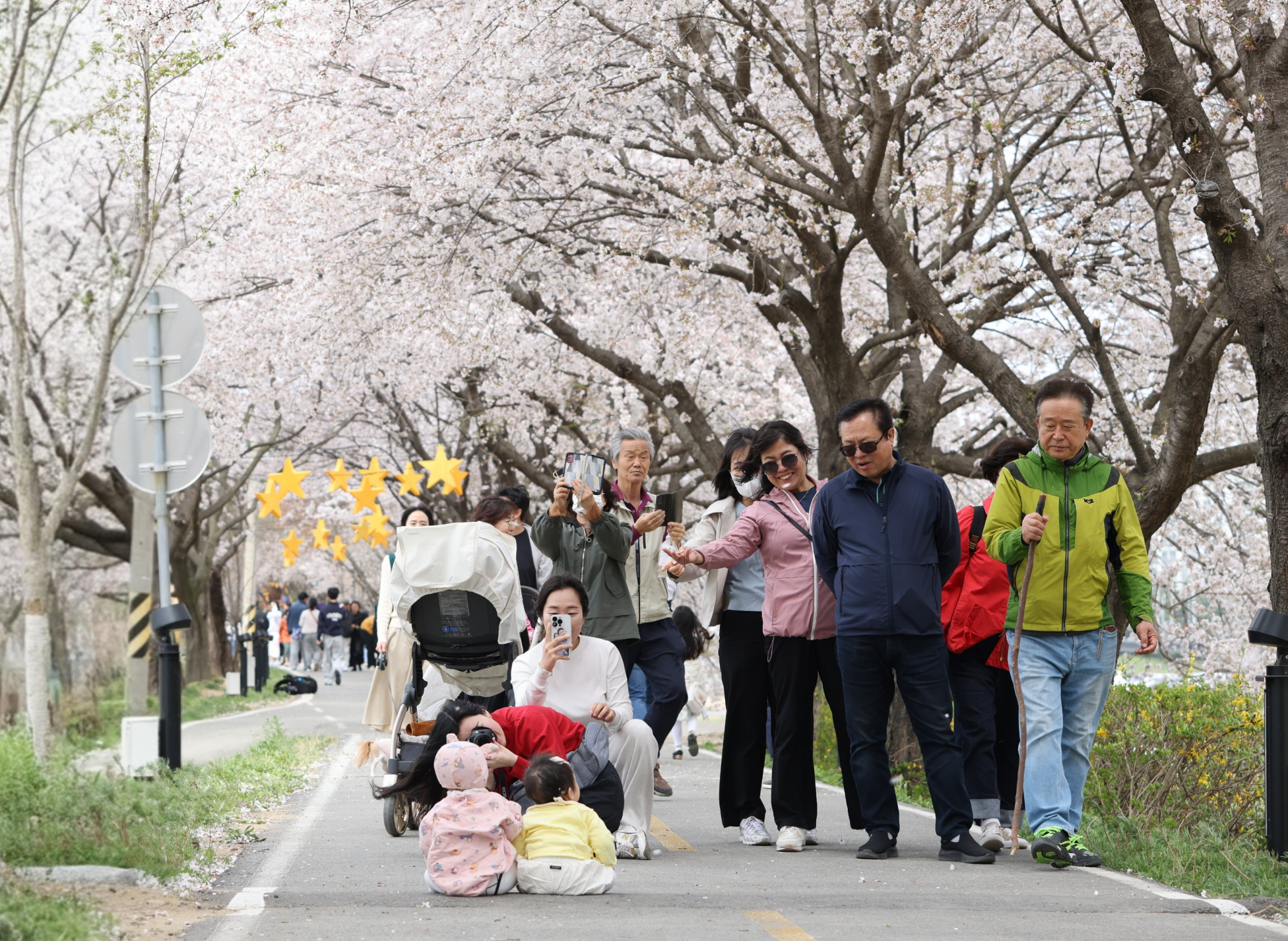2025 보은 벚꽃길 축제 성황리에 마무리...내년에 다시 만나요