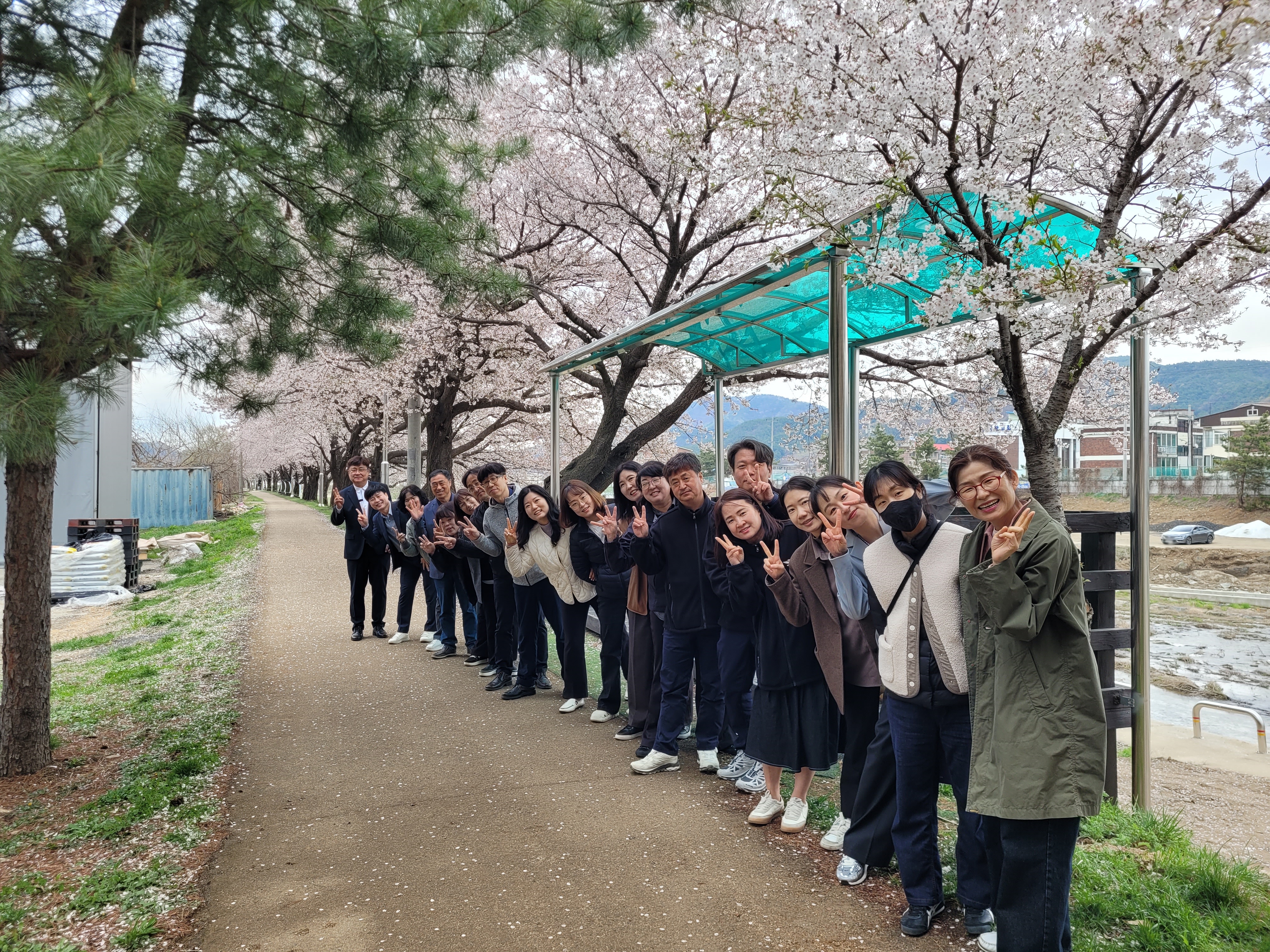 음성군 금왕읍 직원, 문화가 있는 벚꽃 나들이