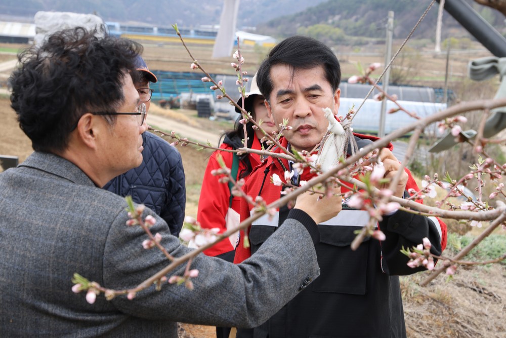 최재형 보은군수, 이상기온 과수 피해 대비 선제적 점검 나서
