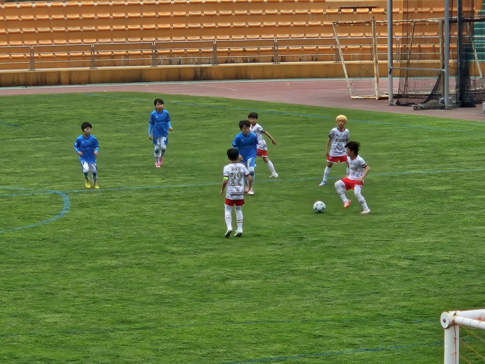 보은군, 2025 결초보은CUP 전국유소년클럽축구대회 열어