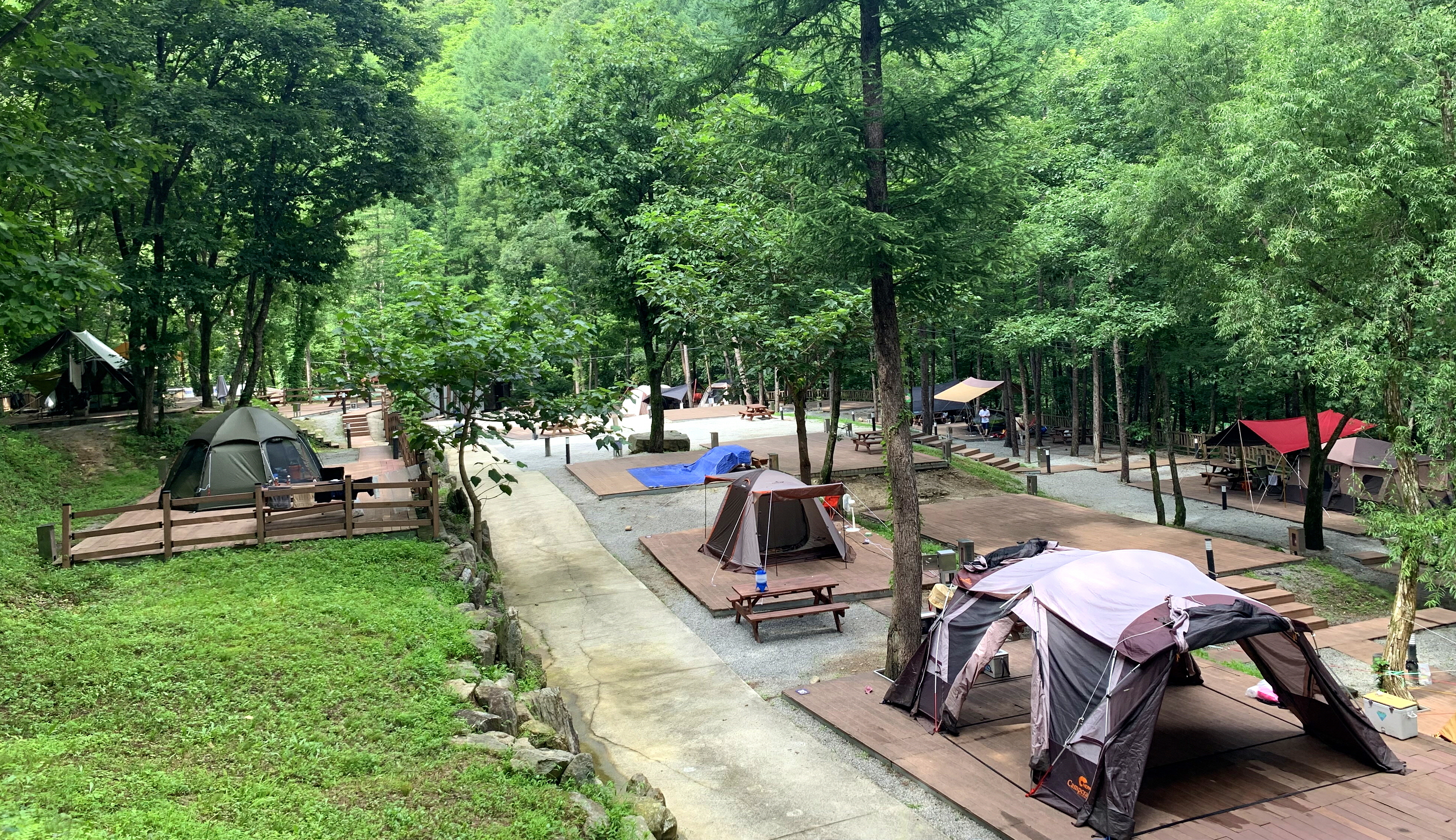 산소 가득한 명품 힐링 만끽, 화천군 공공 캠핑 시설 개장