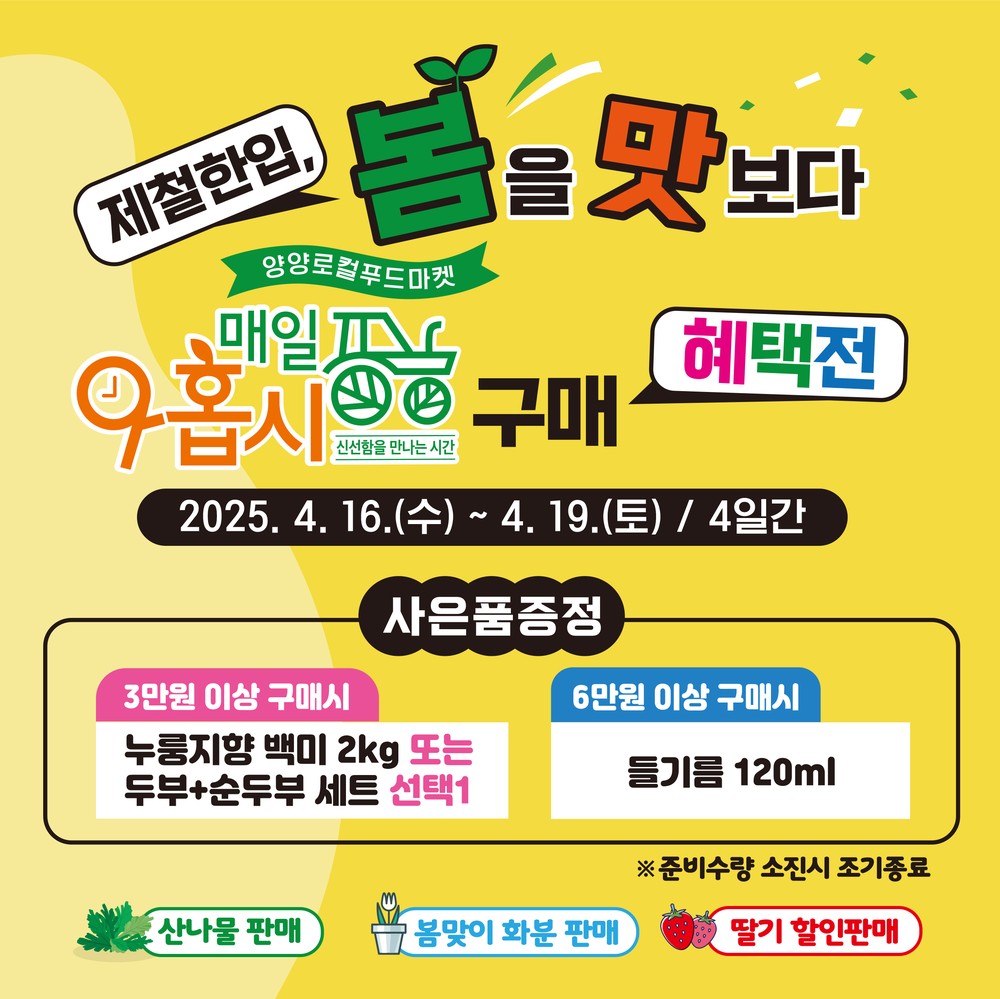 양양로컬푸드마켓 ‘매일아홉시’ 봄맞이 이벤트 진행
