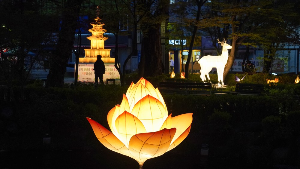 태백시, 불기 2569년 부처님 오신 날 맞아 황지연못 봉축탑 점등식 개최