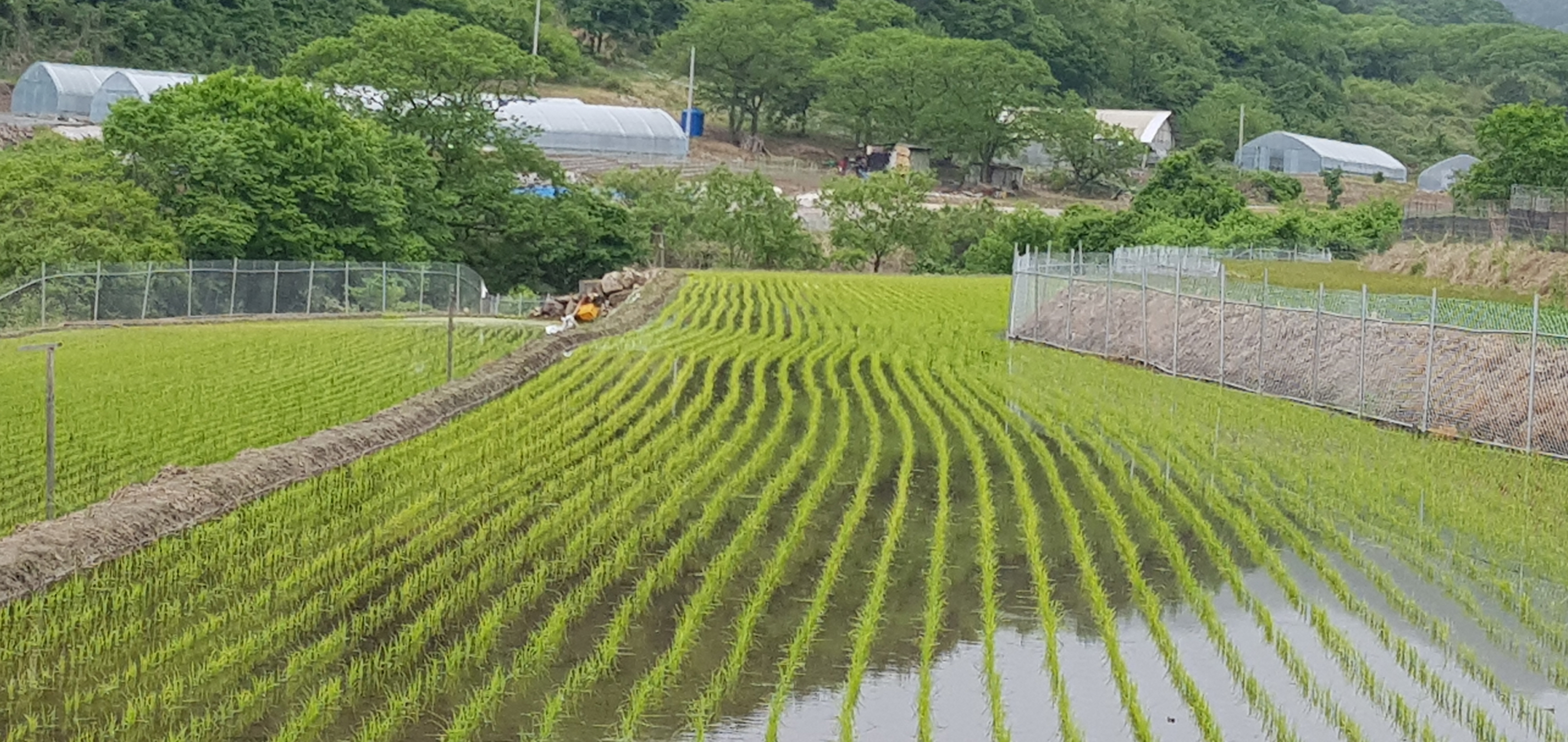 화천 농경지 야생동물 피해, 철제 울타리 설치로 막는다