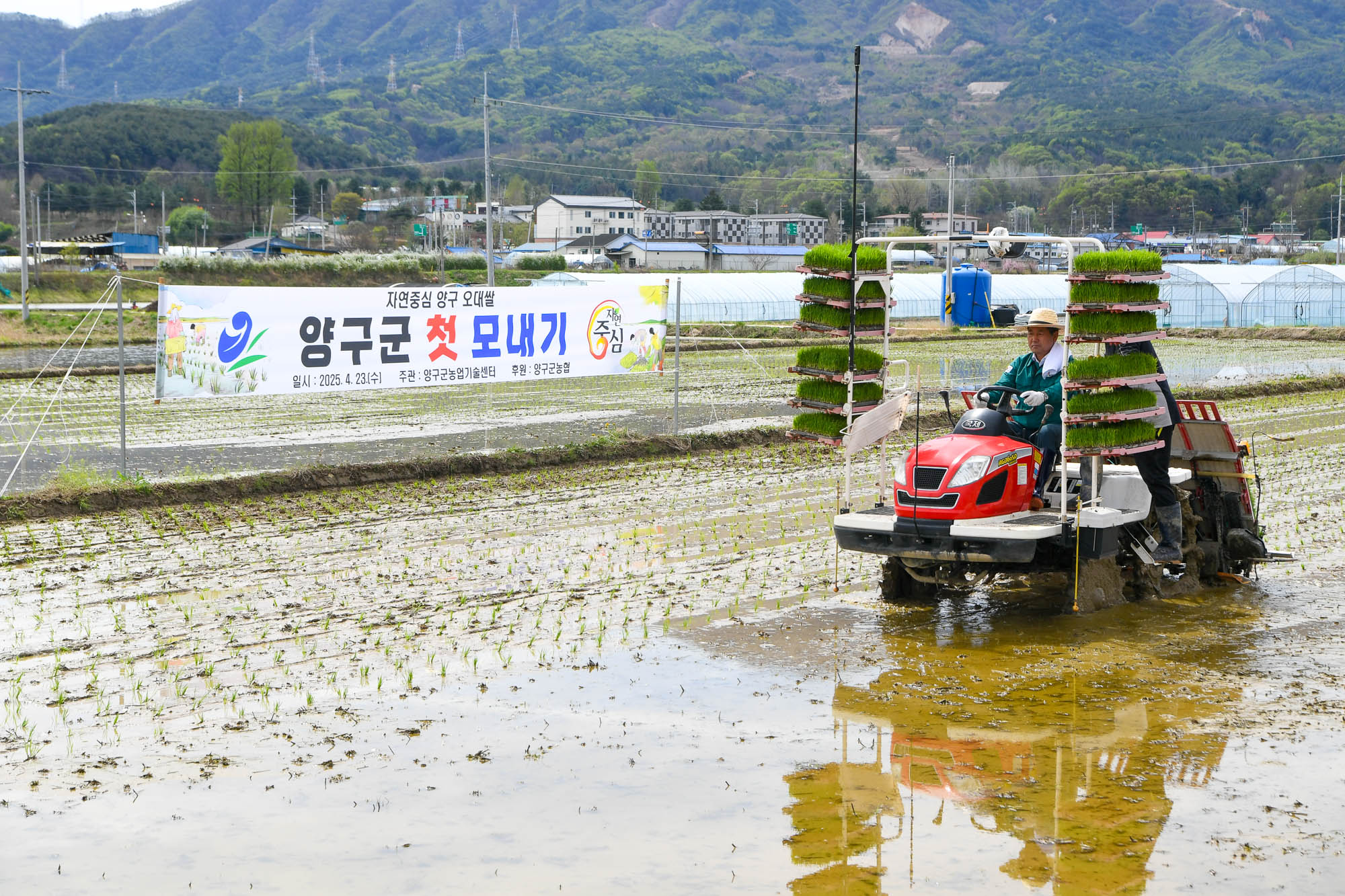 양구군, 올해 첫 모내기 행사 진행…풍년 기원