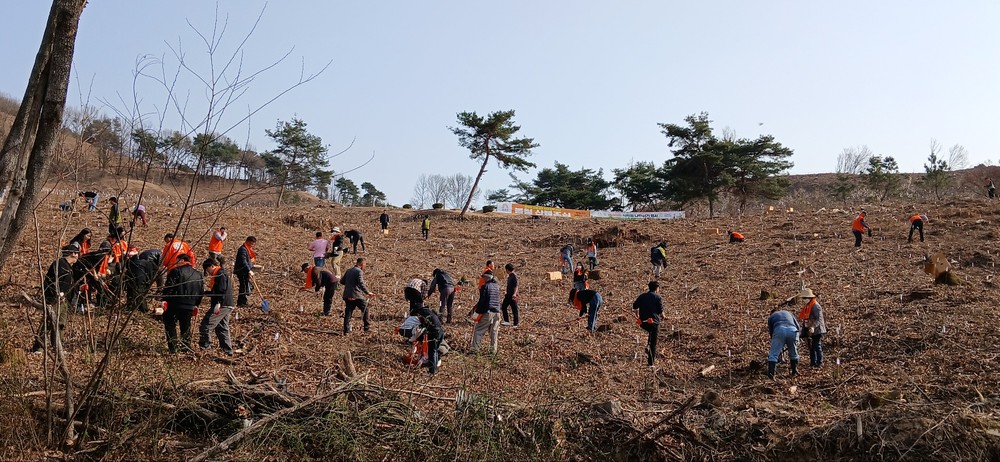 공주시, 제80회 식목일 기념 나무심기 행사 개최