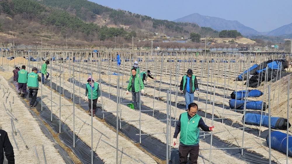 금산군 남일면 바르게살기협‧새마을지도자협, 부상 농민 농번기 일손 돕기 봉사