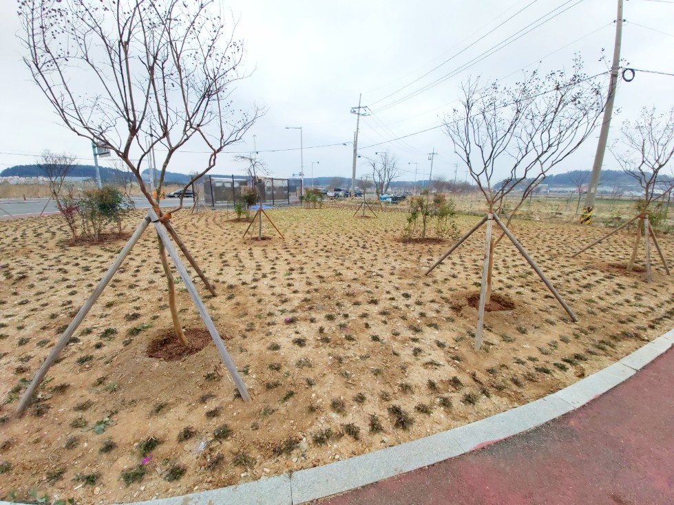 옥서면, 식목일 기념 나무 식재 행사 추진