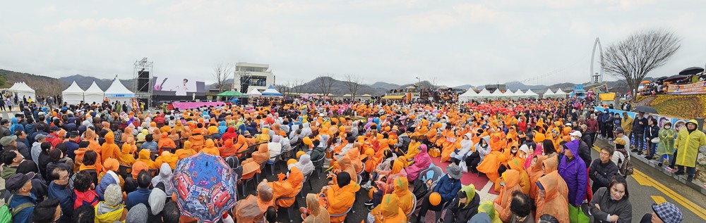 임실방문의 해 첫 번째 축제, 옥정호 벚꽃축제 대성공