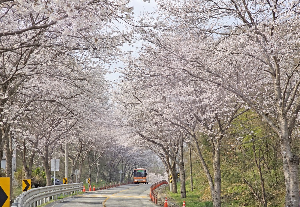 임실 방문의 해 기념, 자매결연지 광주 남구청 치즈 판매행사 열기 후끈