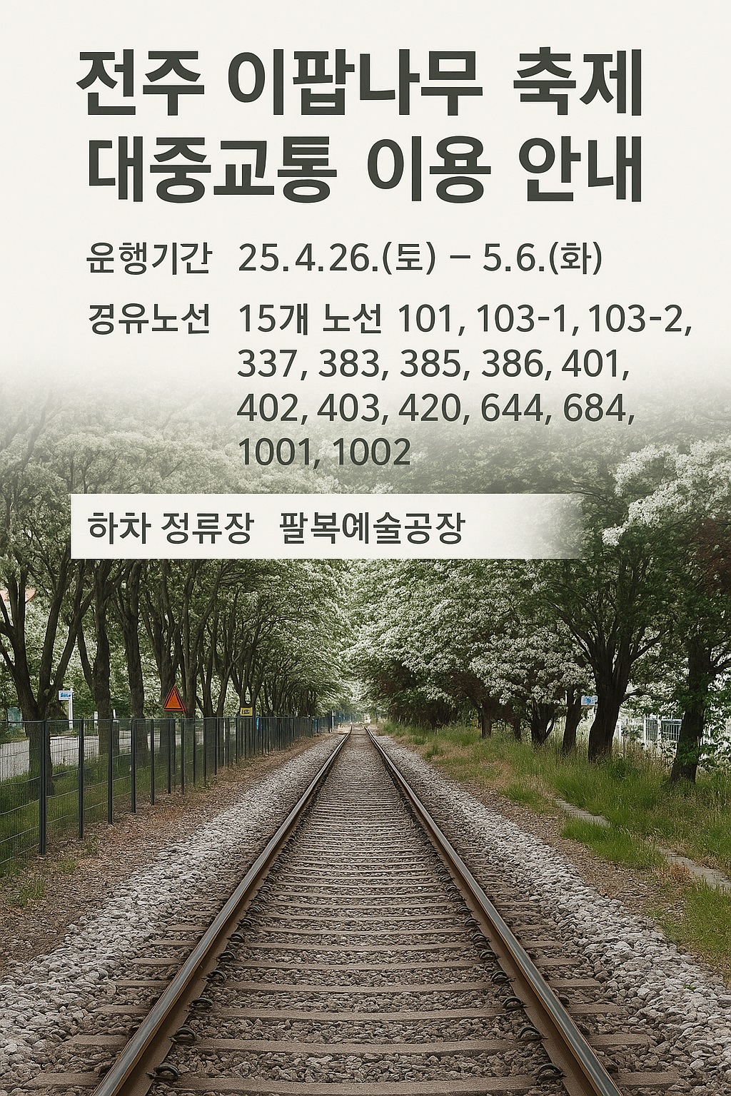 하얀 꽃비 속으로, 시내버스로 편리하게! 전주시내버스 타고 전주 이팝나무 축제 즐겨요!