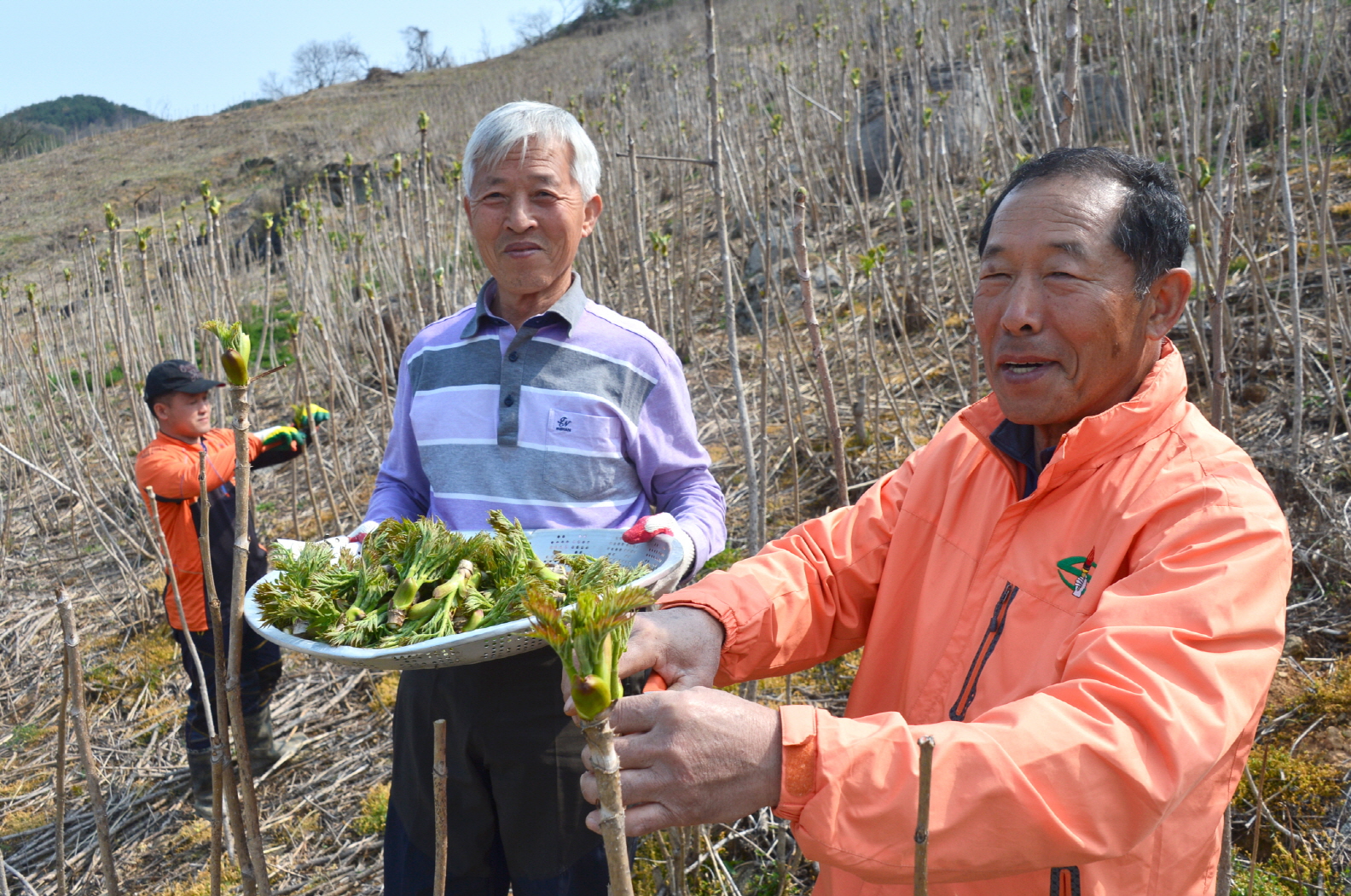 순창군, 임업직불금 4월 30일까지 꼭 신청하세요