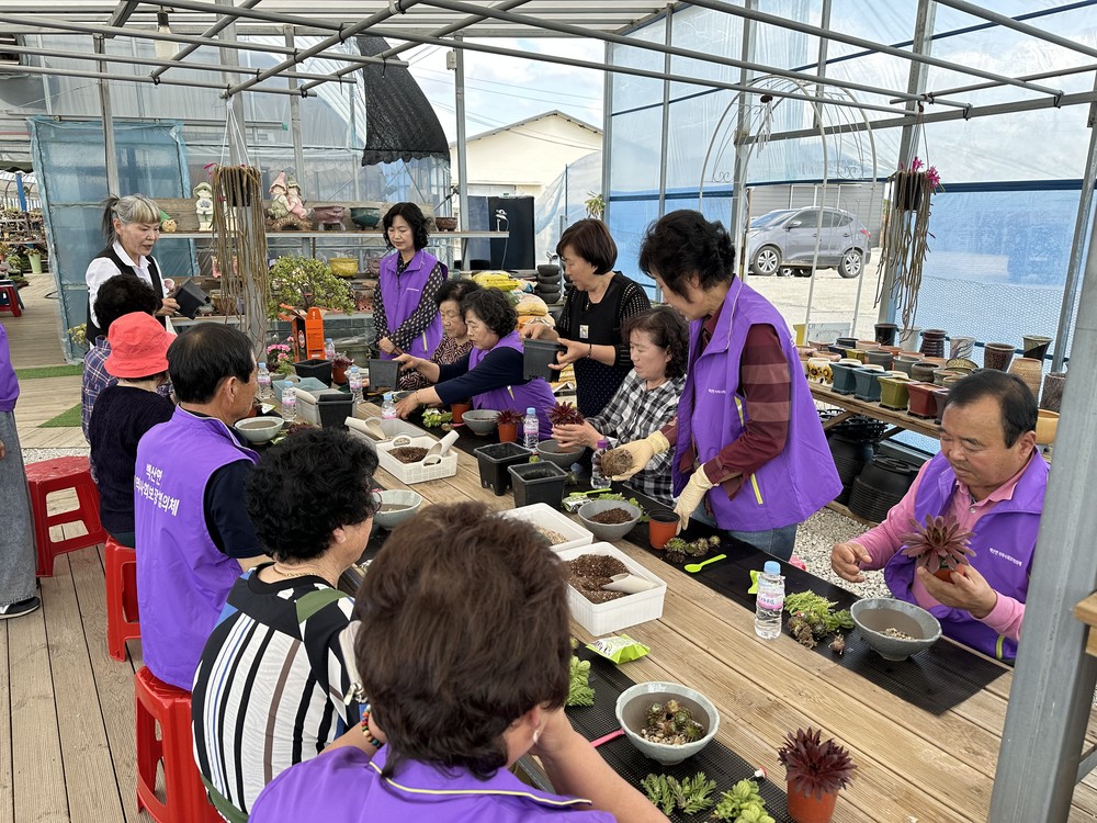 부안 백산면 지역사회보장협의체, 반려 식물 만들기 사업 진행