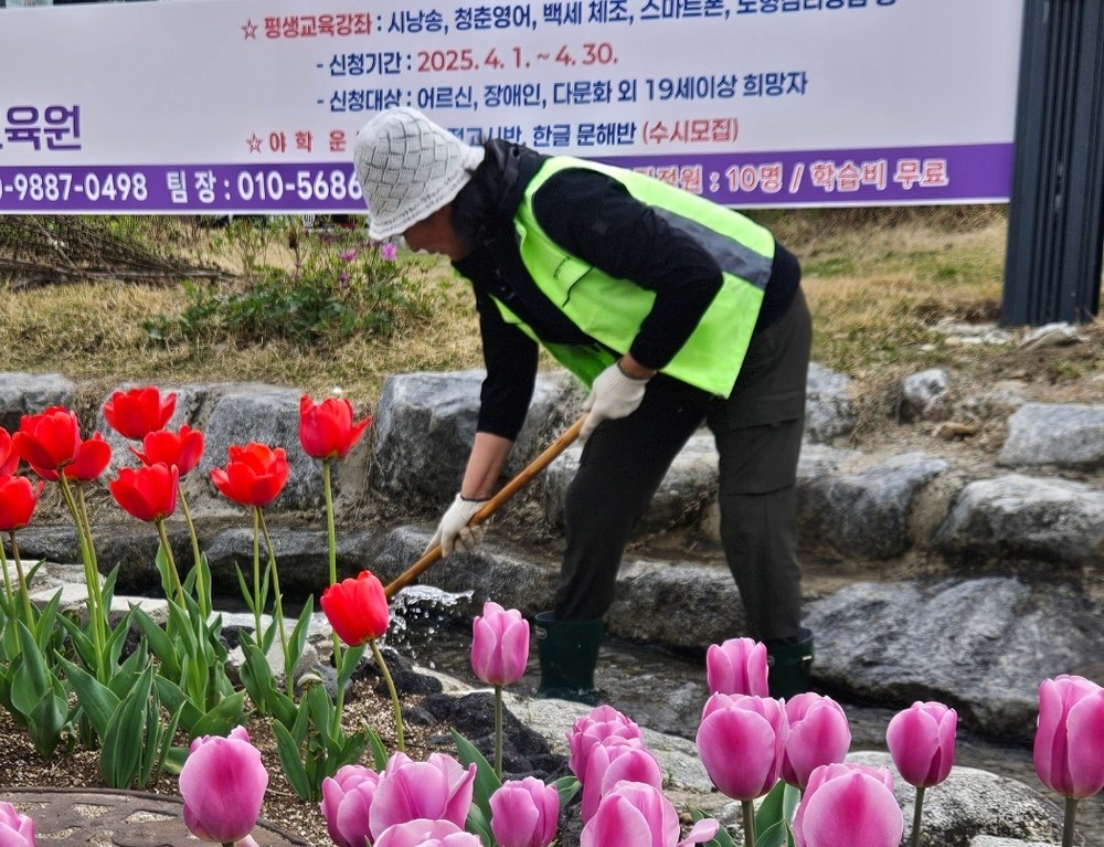 장수군 번암면 주민자치위원회, 환경정화 활동 실시