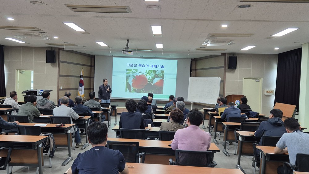 고창군, 고품질 복숭아 생산 위한 재배기술 교육