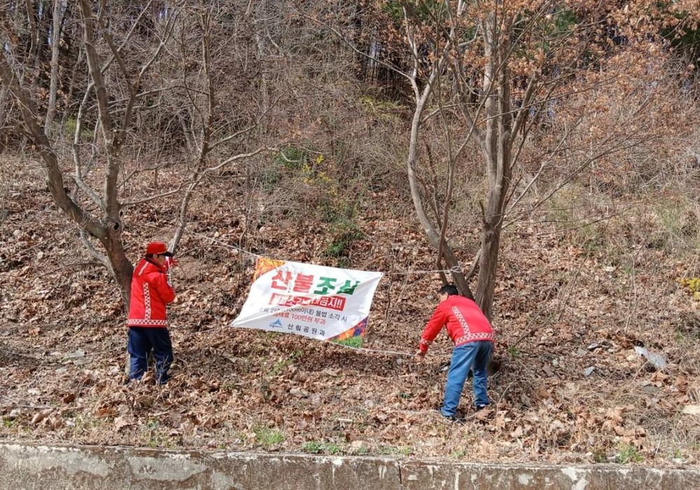 세종시 '입산 금지' 긴급 행정명령